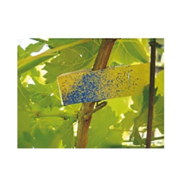 Syngenta Water Sensitive Paper